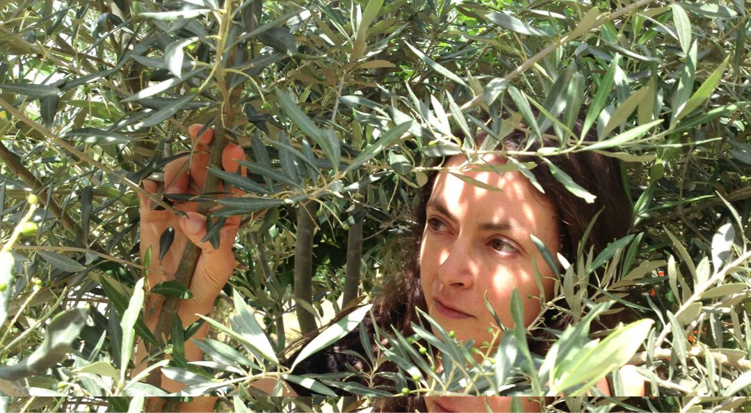 Silvia Vecchini